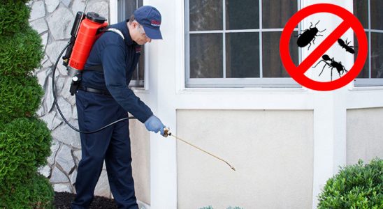 Bulanık Akrep İlaçlama böcek ilaçlama ve haşere kontrolü — ilaclama-tr.com